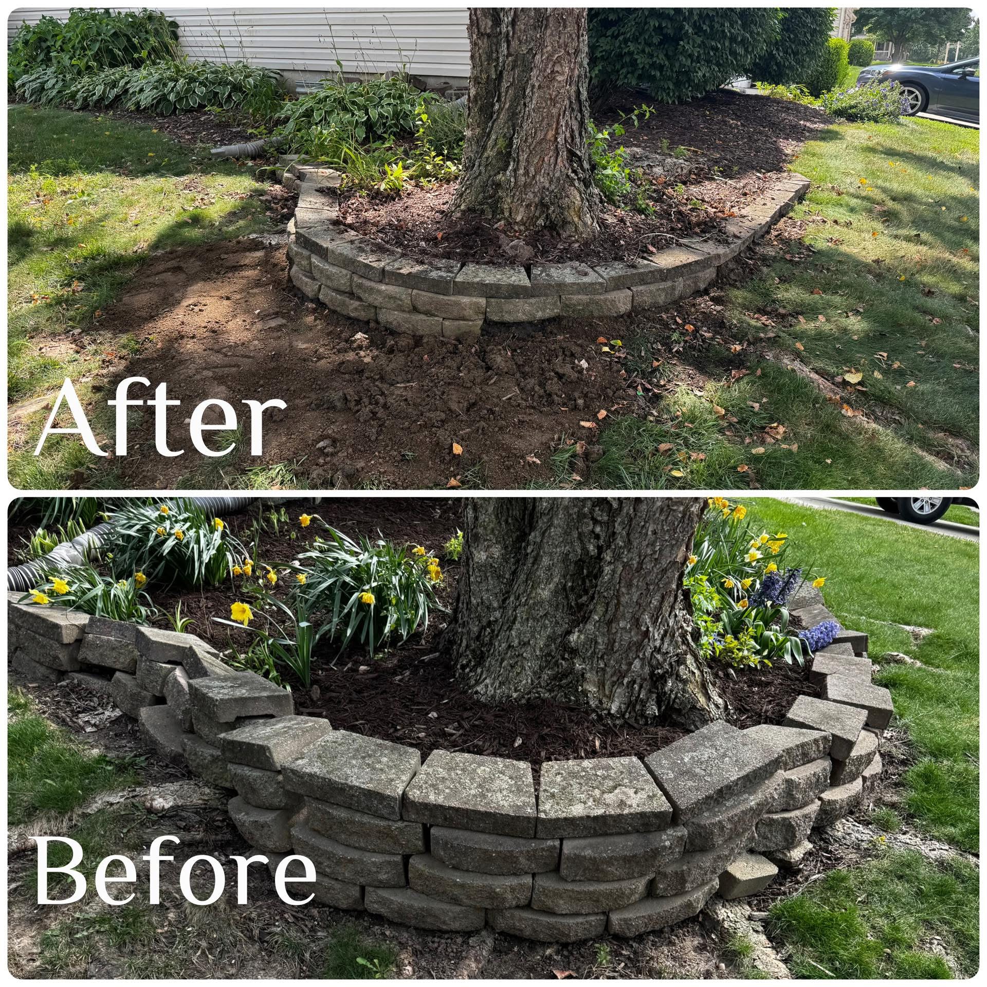 Before and after landscaping bed and tree ring rebuild in Central Indiana