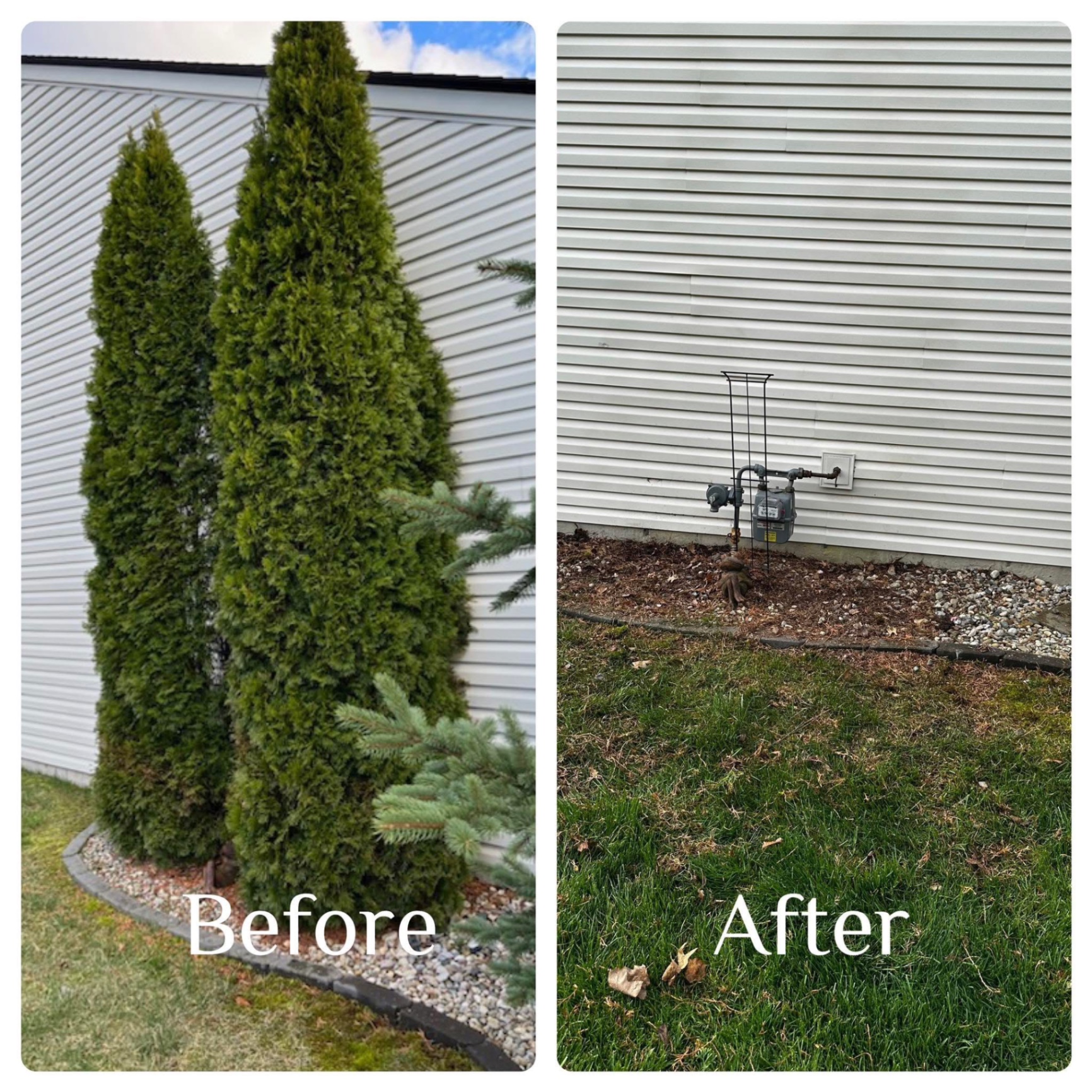 Before and after shrub removal and yard cleanup in Indianapolis